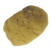 Naturschwamm